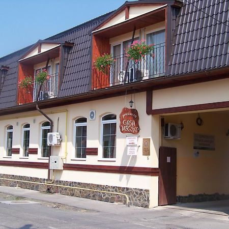 Vila Veche Хацег Экстерьер фото