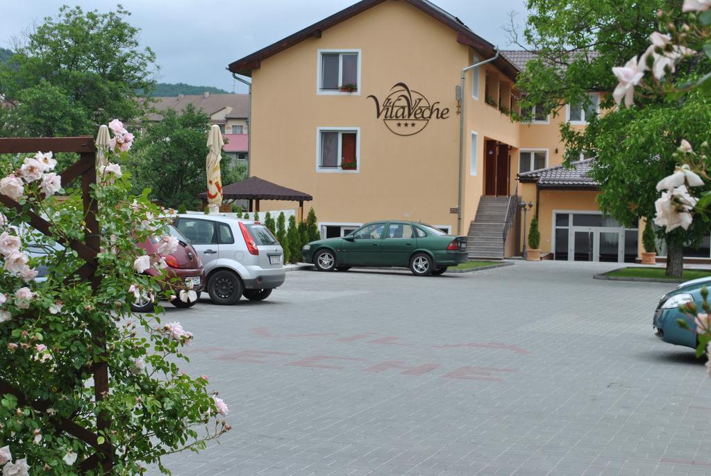Vila Veche Хацег Экстерьер фото