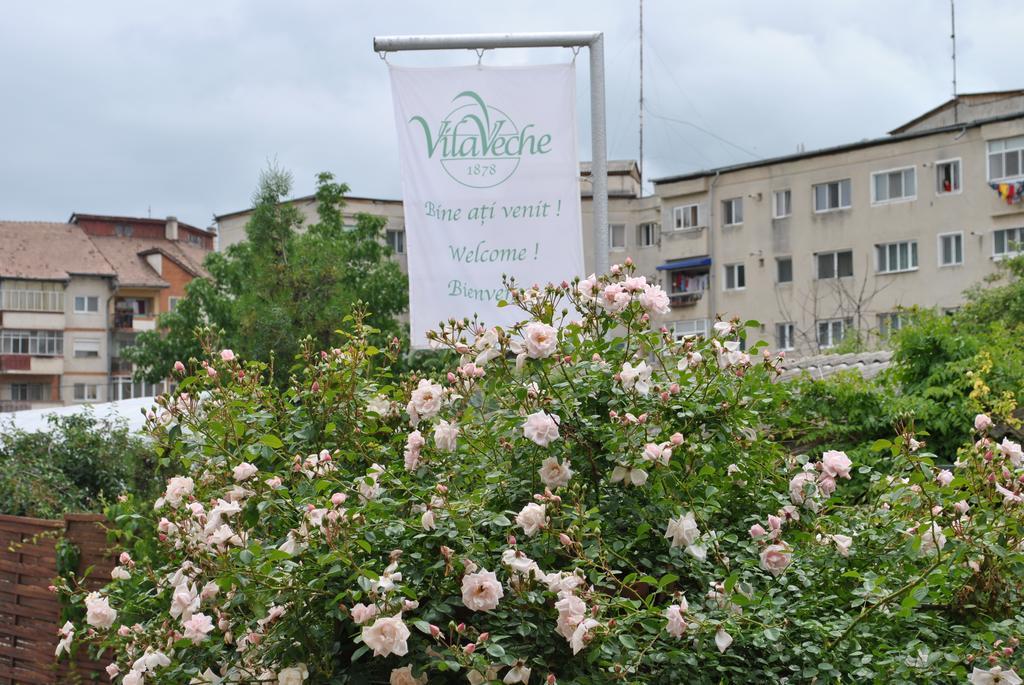 Vila Veche Хацег Экстерьер фото